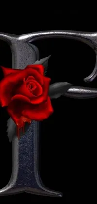 Get this gorgeous gothic phone live wallpaper featuring a stunning red rose and a metal letter "f" artwork