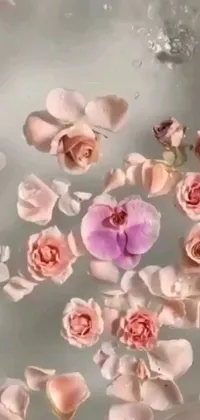 This phone live wallpaper features a digital rendering of a beautiful and romantic scene, with a bunch of flowers floating in a bath tub
