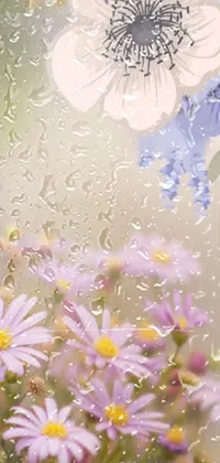 This phone live wallpaper depicts a vivid array of wild flowers placed beside each other