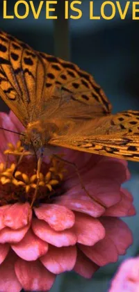 This stunning butterfly and flower phone live wallpaper is a photorealistic masterpiece