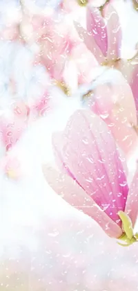 This phone live wallpaper showcases a stunning close-up photograph of a flower on a tree, surrounded by a field of soft pink flowers