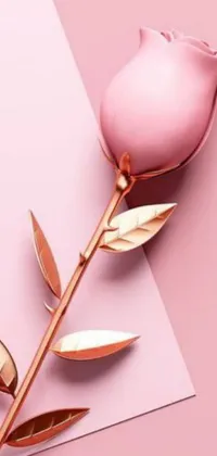 Looking for a stunning live wallpaper for your phone? Look no further than this stylish creation featuring a pink rose perched atop a piece of paper