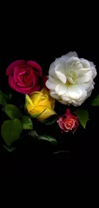 This live wallpaper features a bouquet of three roses on a black background, with a kaleidoscope of colors