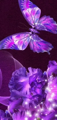 This live phone wallpaper features a purple butterfly flitting over purple flowers in high definition 240p