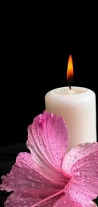 This live wallpaper features a serene scene of a white candle and pink flower softly flickering on a black background
