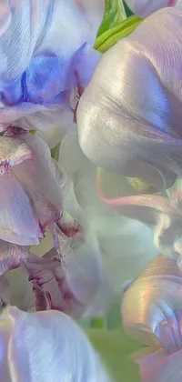 This live wallpaper features an up-close view of purple tulips in a photorealistic painting style with iridescent purple and pink hues