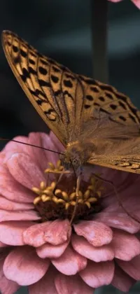 This live phone wallpaper features a detailed and intricate image of a butterfly sitting on top of a pink flower