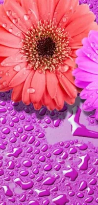 This live wallpaper showcases digital flowers in pink and purple colors on a wet surface, designed to add vibrancy and serenity to any mobile device
