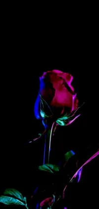 This live wallpaper showcases a glowing red and blue rose against a dark background
