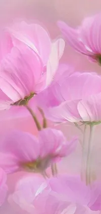 Decorate your phone screen with the captivating digital rendering of pink flowers in full bloom