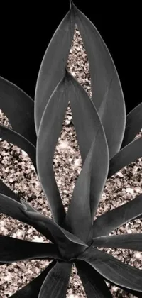 This live wallpaper for phones features a stunning black and white photo of a plant stem with striking digital art, complete with glittering sparkles and gold accents