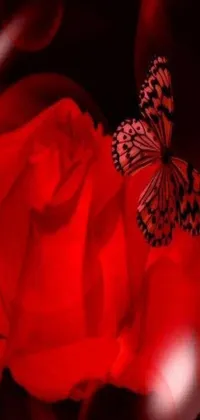 This live wallpaper for your phone features a captivating red rose with a delicate butterfly perched on one of its petals