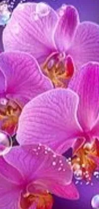 This phone live wallpaper features a stunning 3D giant orchid flower in shades of pink and floating bubbles