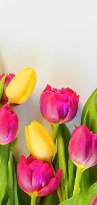 Decorate your phone with this stunning floral live wallpaper that showcases a beautiful bouquet of pink and yellow tulips against a white background
