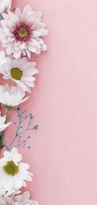 This <a href="/">phone live wallpaper</a> displays beautiful white flowers on a soft pink background