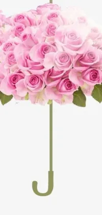 This livephone wallpaper features fresh pink roses arranged on an umbrella, creating a stunning digital centerpiece with a tumblr vibe