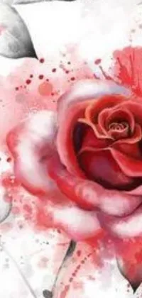 This phone live wallpaper showcases a beautiful painting of a red rose against a white backdrop