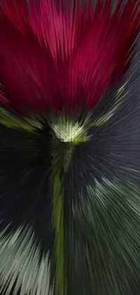 This phone live wallpaper boasts stunning digital art of a close-up flower with a blurry background