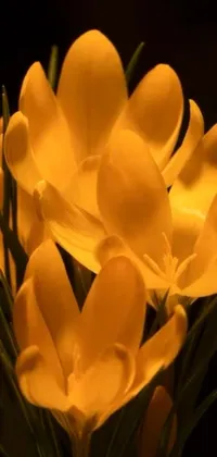 This phone live wallpaper boasts a stunning close-up image of yellow flowers in bloom