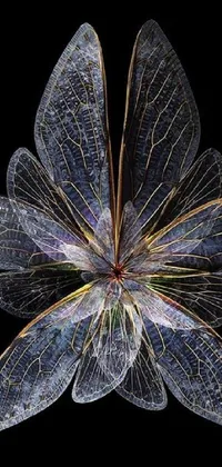 Introducing a stunning live wallpaper for your phone featuring an incredible close-up of a flower on a black background, a magnified microscopic photo, or a captivating generative art display