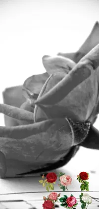 Enhance your phone's background with this captivating black and white live wallpaper featuring a close-up shot of a dried rose on a keyboard