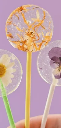 Enjoy a captivating live wallpaper on your phone with three lollipops featuring gorgeous flowers on them against an intriguing background of pexels, process art, and effervescent bubbles