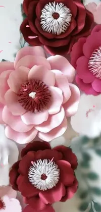 Flower Plant Petal Live Wallpaper