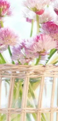 This phone live wallpaper features a vase filled with pink flowers sitting on a wicker table with clover around it
