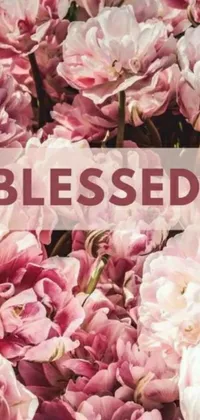 This stunning phone live wallpaper showcases beautiful pink flowers and inspiring words