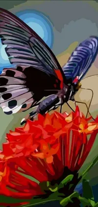 This live wallpaper for your phone showcases a stunning painting of a butterfly resting on a bold red flower