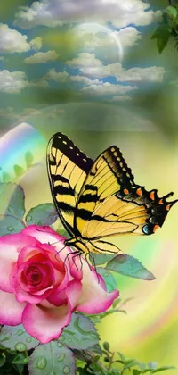 This phone live wallpaper boasts a beautiful butterfly perched atop a pretty pink rose