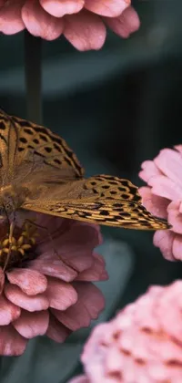 This live phone wallpaper showcases a stunning pink flower with a butterfly perched on top