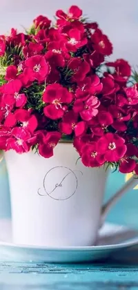 This stunning phone live wallpaper features a cup filled with red flowers on a saucer