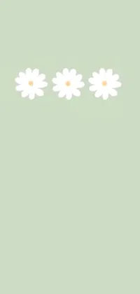 This phone live wallpaper features a stunning minimalist design of three white daisies on a soft green background