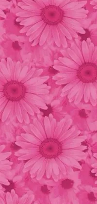 The Pink Flowers Live Wallpaper features a beautiful collection of blossoms on a soft pink background