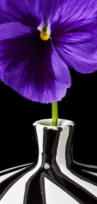 This live wallpaper showcases a purple flower resting in a black and white vase against an alluring backdrop