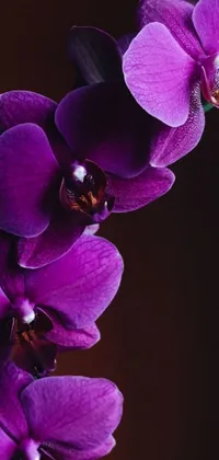 This <a href="/">phone live wallpaper</a> is a beautiful depiction of a purple flower on a stem