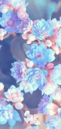 This phone live wallpaper showcases a beautiful digital rendition of a bonsai tree adorned with blue and pink flowers