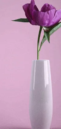 This phone live wallpaper showcases a stunning 3D digital rendering of a purple flower atop a glazed ceramic white vase placed against a lively pink background