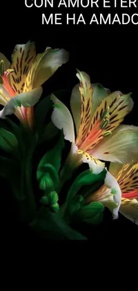 This live wallpaper features beautiful flowers displayed in photorealistic detail by Ju Lian