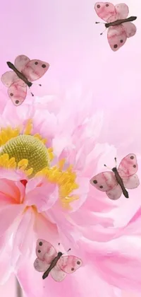 This phone live wallpaper showcases a stunning pink flower surrounded by fluttering butterflies