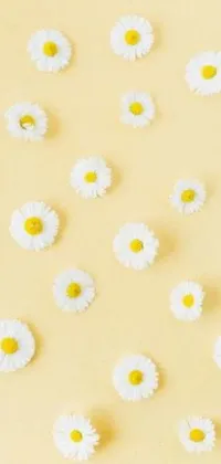 This phone live wallpaper features a beautiful illustration of white daisies arranged over a bright, sunny yellow background
