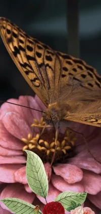 Adorn your phone screen with a mesmerizing live wallpaper featuring a realistic butterfly resting on a blooming pink flower