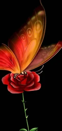 This stunning red rose live wallpaper for your mobile device will bring nature's beauty to your screen