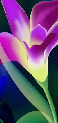This phone live wallpaper showcases a colorful and abstract design in a digital art style inspired by the beauty of nature