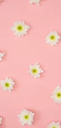Looking for a beautiful live wallpaper that features white flowers on a pink surface? This minimalistic design by Dulah Marie Evans is just what you need