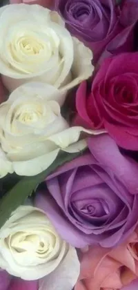 This phone live wallpaper features a bunch of flowers in a stunning close-up shot