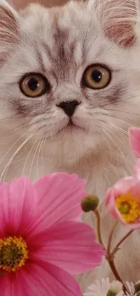 Bring life to your phone display with this amazing live wallpaper featuring a cat amidst a colorful garden