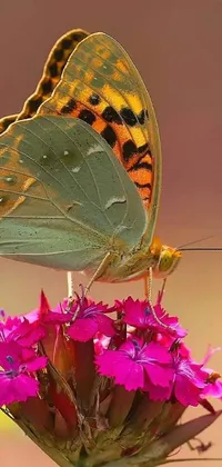 This phone live wallpaper features a golden-colored butterfly perched on a pink flower with additional butterflies and birds flitting in the background