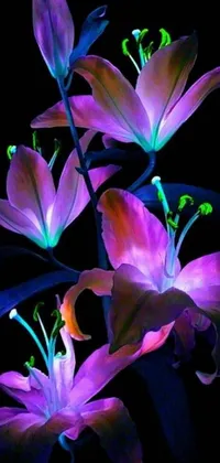 This is a beautiful live wallpaper for your phone featuring stunning purple flowers against a black background